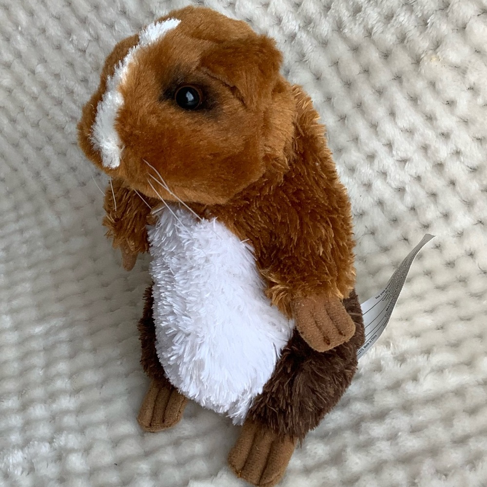 APPLAUSE Blockbuster Plush Mascot Ray Munchies Guinea Pig Stuffed Animal Toy